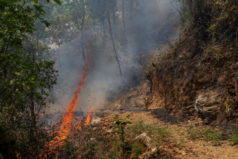 २४ दिनमा आगलागी, डढेलो र चट्याङबाट २७ जनाको मृत्यु