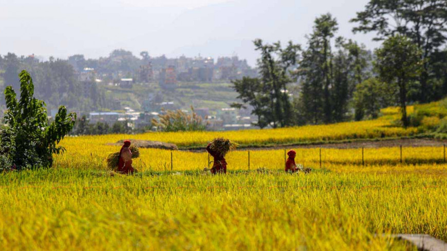 कुल गार्हस्थ उत्पादन एक सय खर्ब रुपैयाँभन्दा माथि पुर्‍याइने