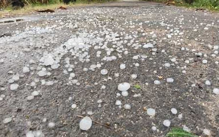 जुम्लाको तिलामा असिनापानीले स्याउ बगैँचामा क्षति