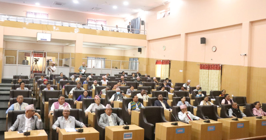 कोसी प्रदेशको बजेट पारित