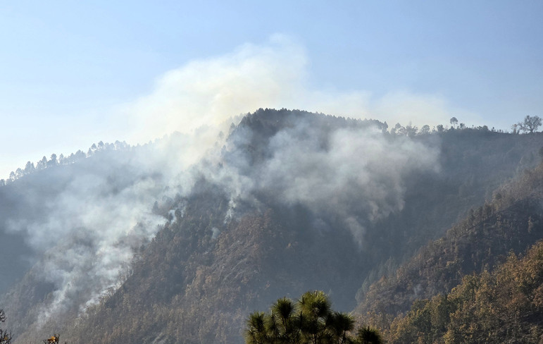 पछिल्लो १८ दिनमा आगलागी र डढेलोले लियो १५ जनाको ज्यान