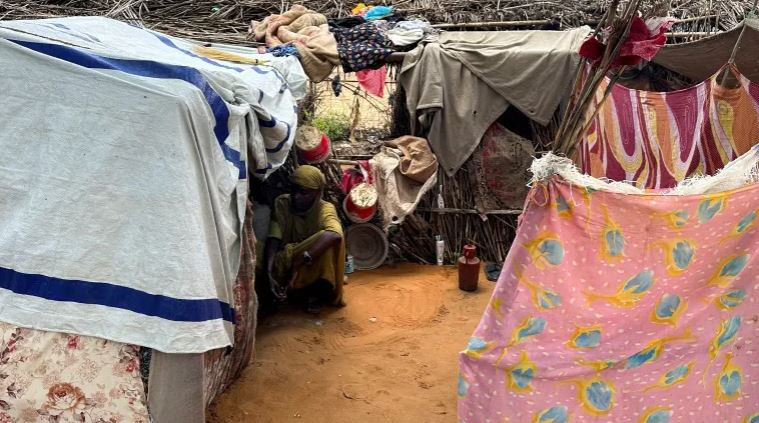 अर्धसैनिक समूहद्वारा सुडानको डारफोरमा १०० जनाको हत्या