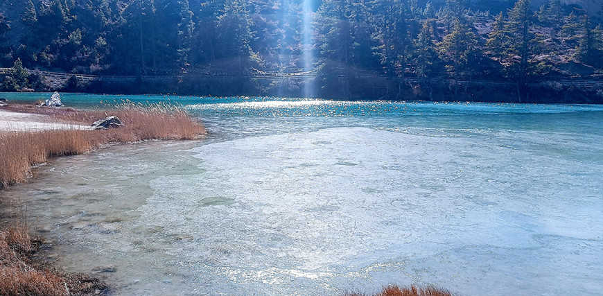 तालमा बरफ