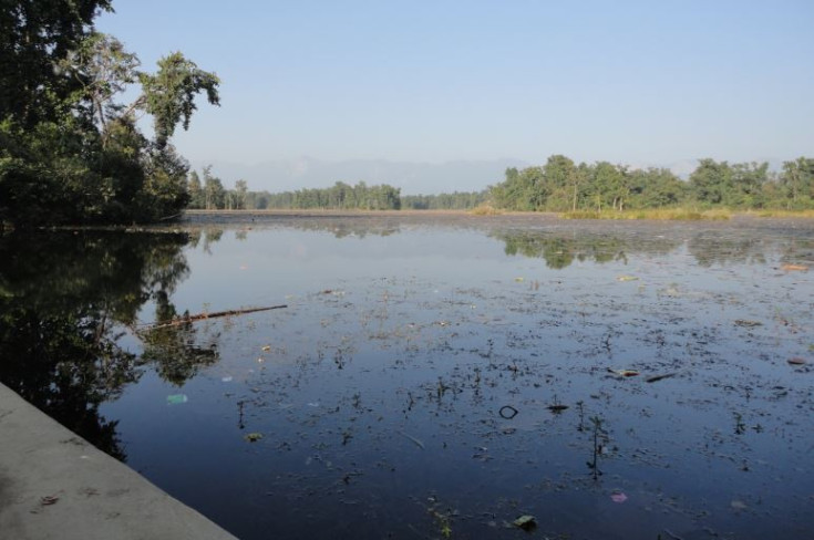 घोडाघोडीमा आन्तरिक पर्यटकको चहलपहल बढ्यो