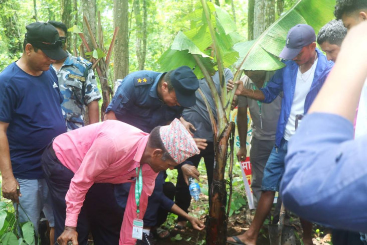 वन्यजन्तुको आहारका लागि सामुदायिक वनमा दश हजार बिरुवा रोपिए