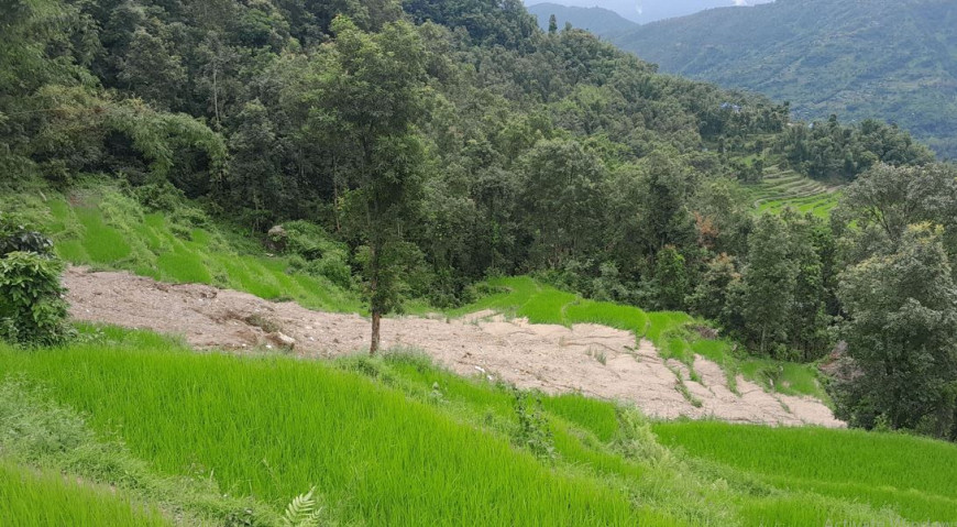 पहिरोले धानबालीसहितको खेत बगाएपछि कृषक चिन्तित