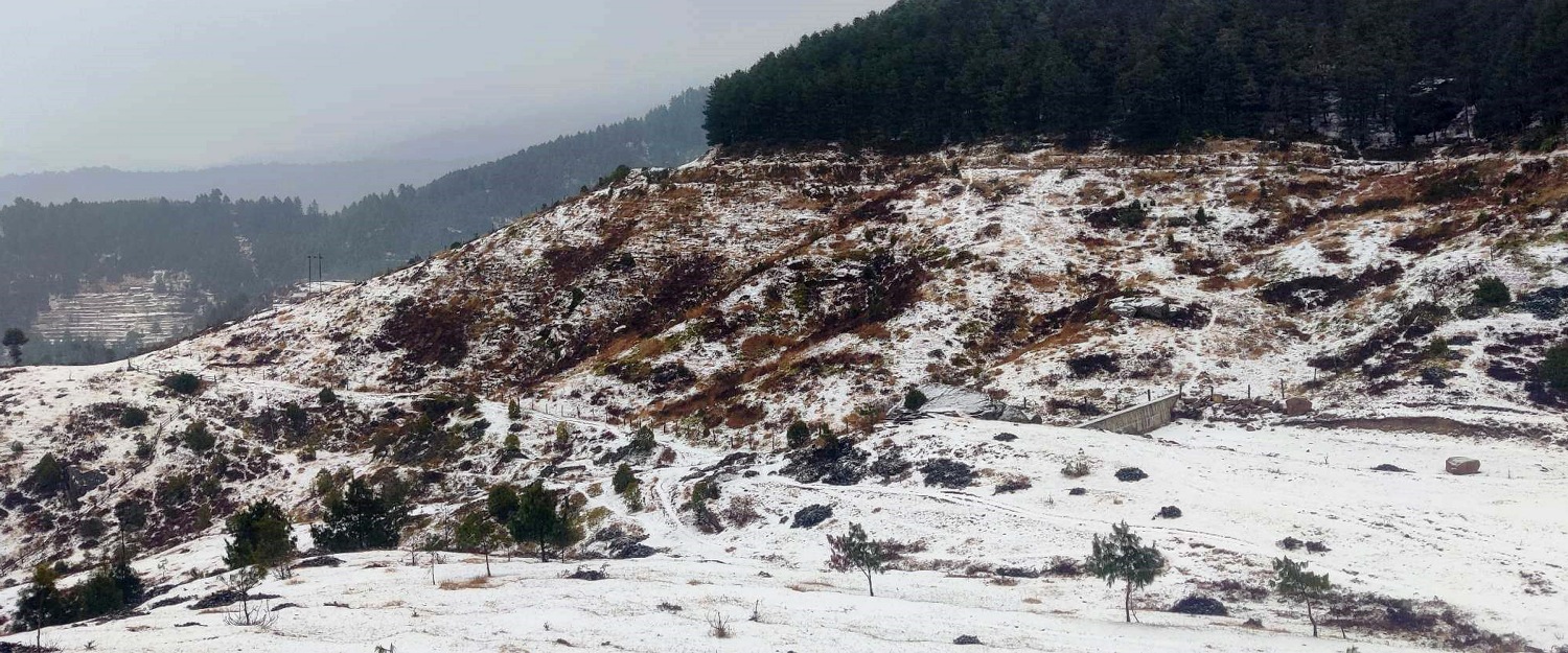 असिनाले बालीमा क्षति