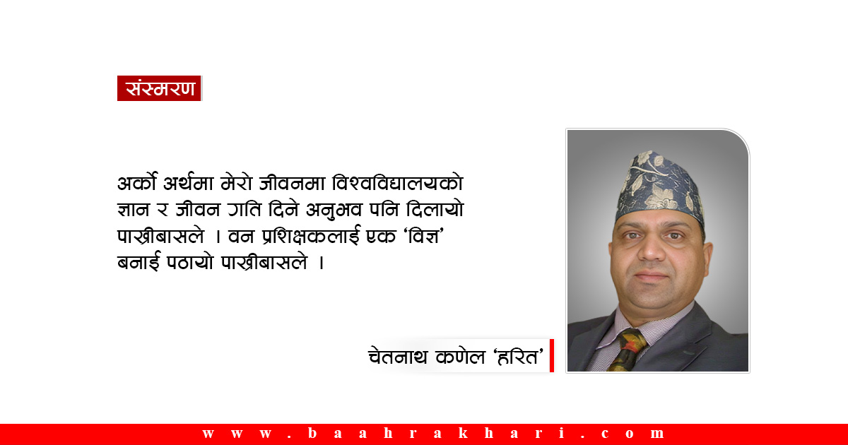 मैले नदेखेको पाख्रीबास !