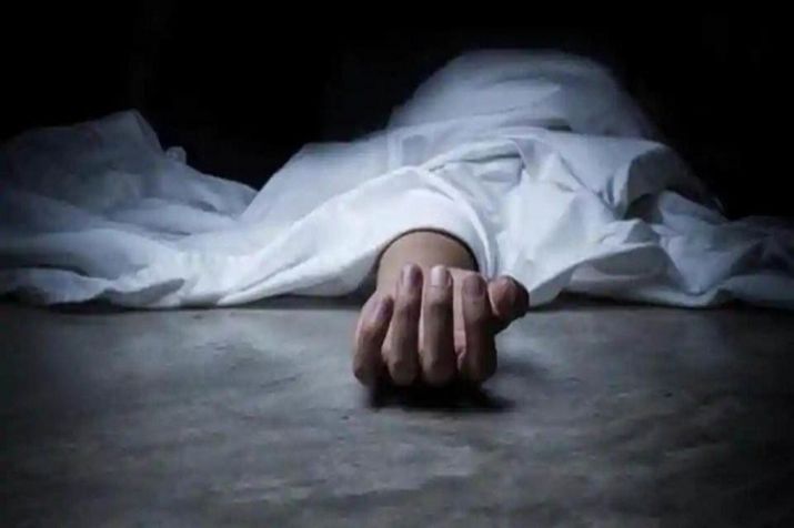जंगली हात्तीको आक्रमणबाट वृद्धको मृत्यु