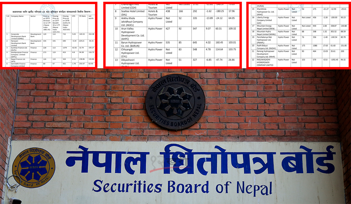 प्रारम्भिक अध्ययनमै धितोपत्र बोर्डले ५१ कम्पनीको नाम सार्वजनिक गर्नु उचित थियो ! के भन्छन् जानकार ?