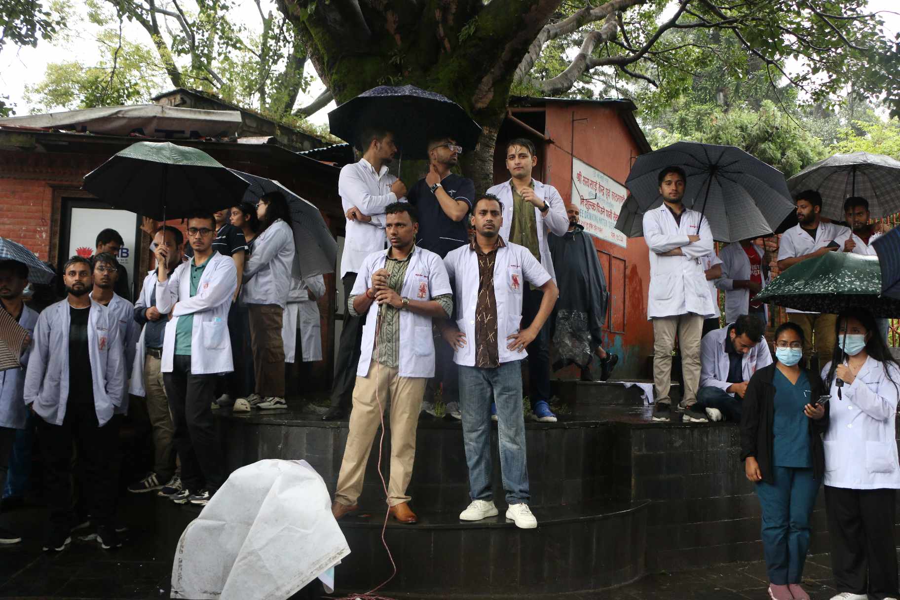Doctor-1696237981.jpg