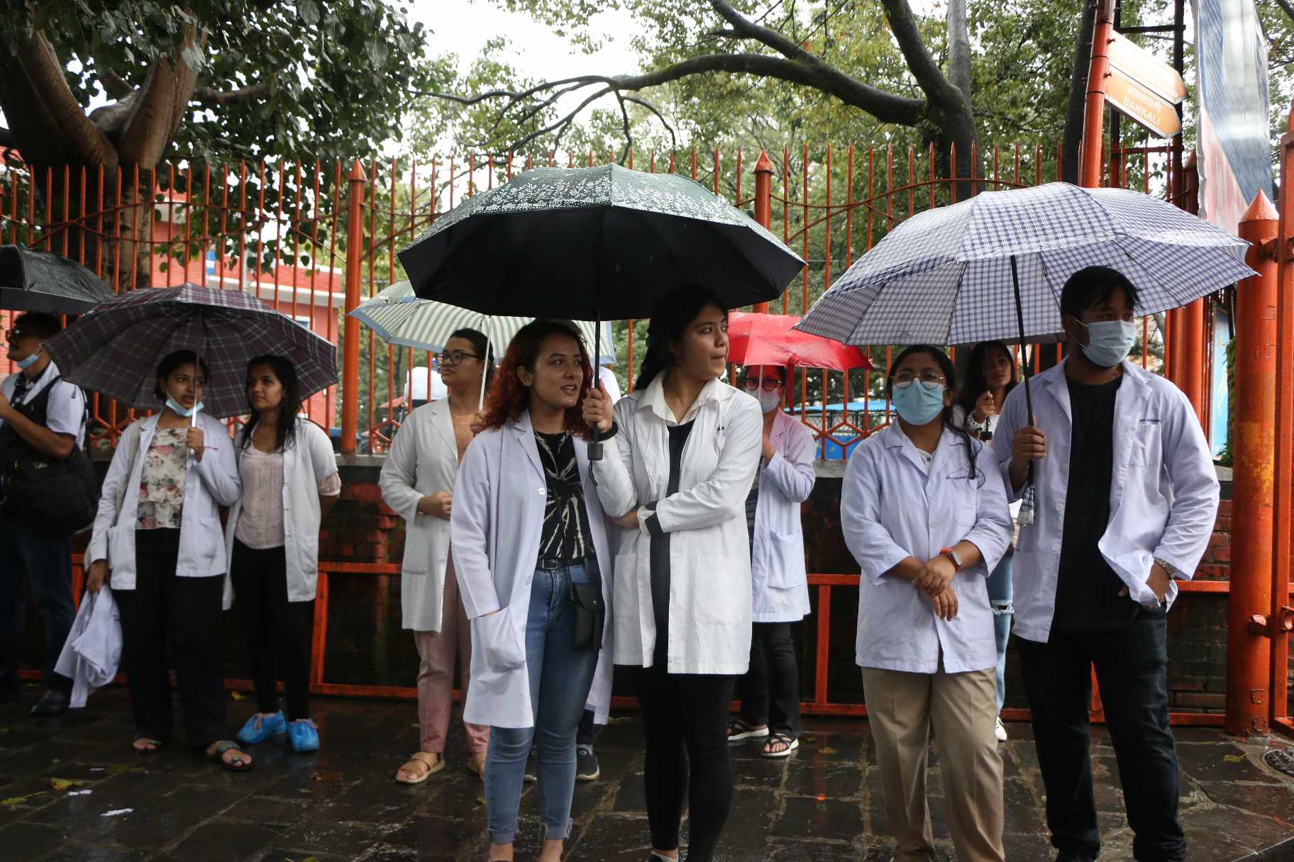 Doctor8-1696237984.jpg