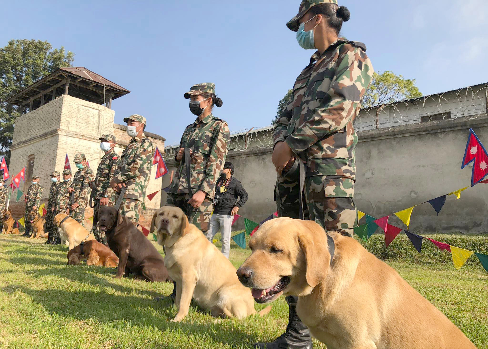 कुकुर तिहारमा ‘सैनिक डग तथा कला प्रदर्शनी’