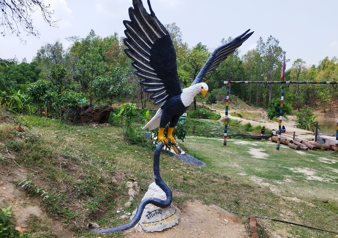 पार्कमा गरुड