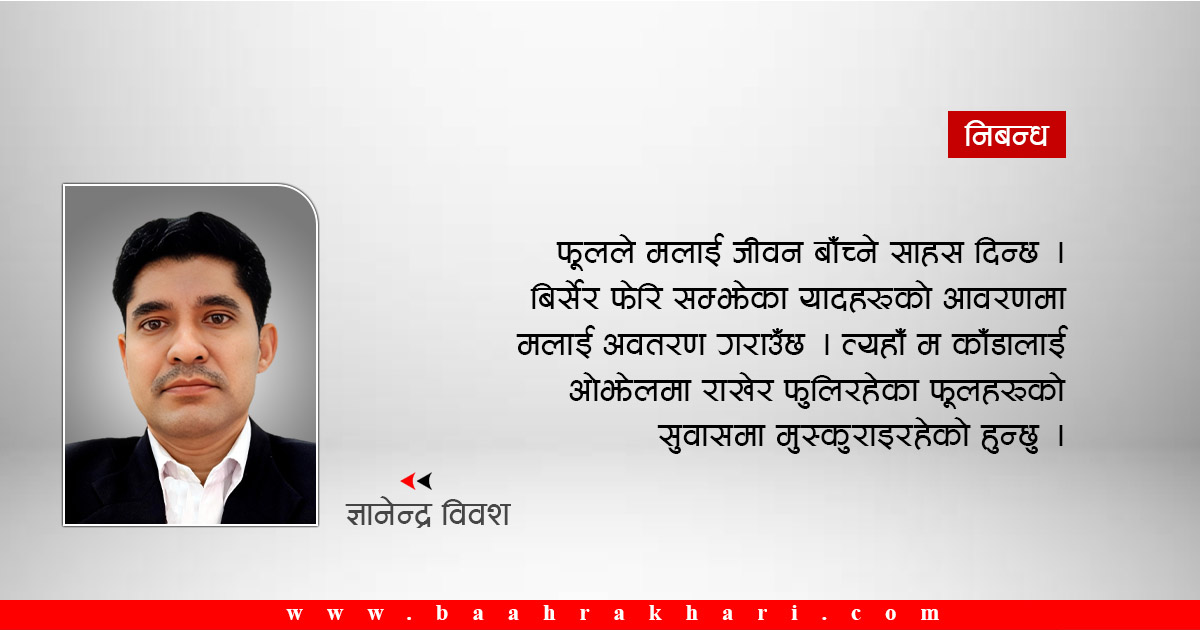 बिर्सेर फेरि सम्झेका यादहरू