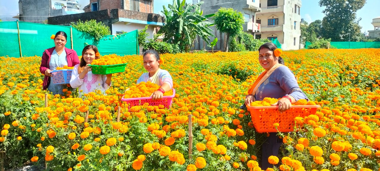 माला बनाउने चटारो (तस्बिरहरू)