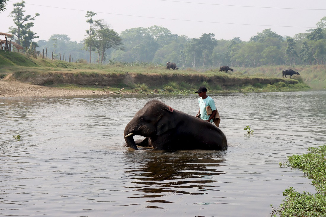 KA_BHARATPUR_IMG_1035-(1)-1713774215.jpg