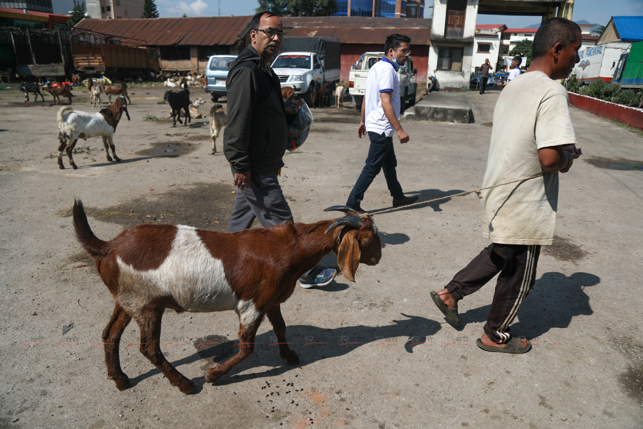 Khasi-boka-(8)-1697523914.jpg