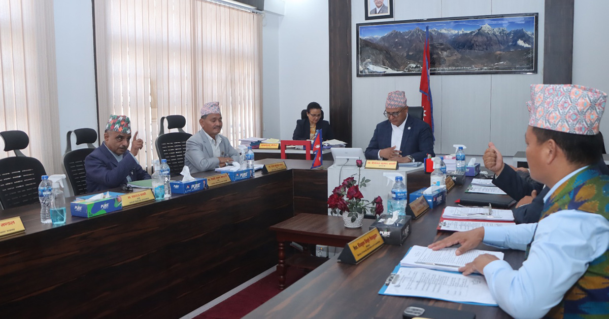 कोसीमा सिटी रिक्सा चालकलाई लाइसेन्स दिन निर्देशिका स्वीकृत