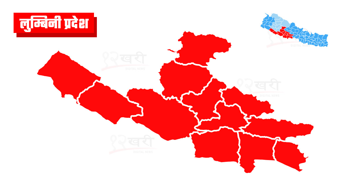 नरैनापुरमा झाडापखालाबाट चारको मृत्यु : सातजना बिरामी