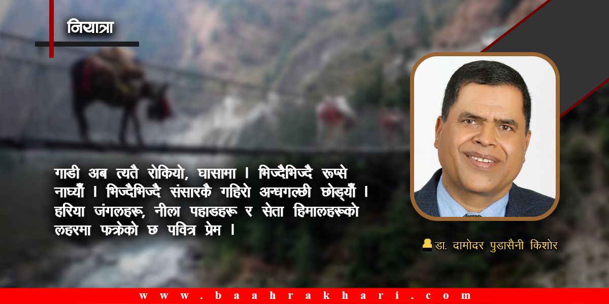 नीलगिरिका कोलाज