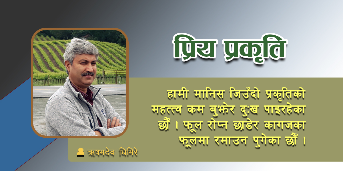 प्रिय प्रकृति
