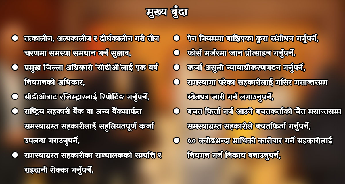 सहकारी सुधार कार्यदलको सुझाव– सञ्चालकको सम्पत्ति र पासपोर्ट रोक्का गरौँ