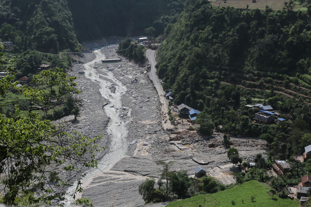 उजाड सिस्नेरी (तस्बिरहरू)