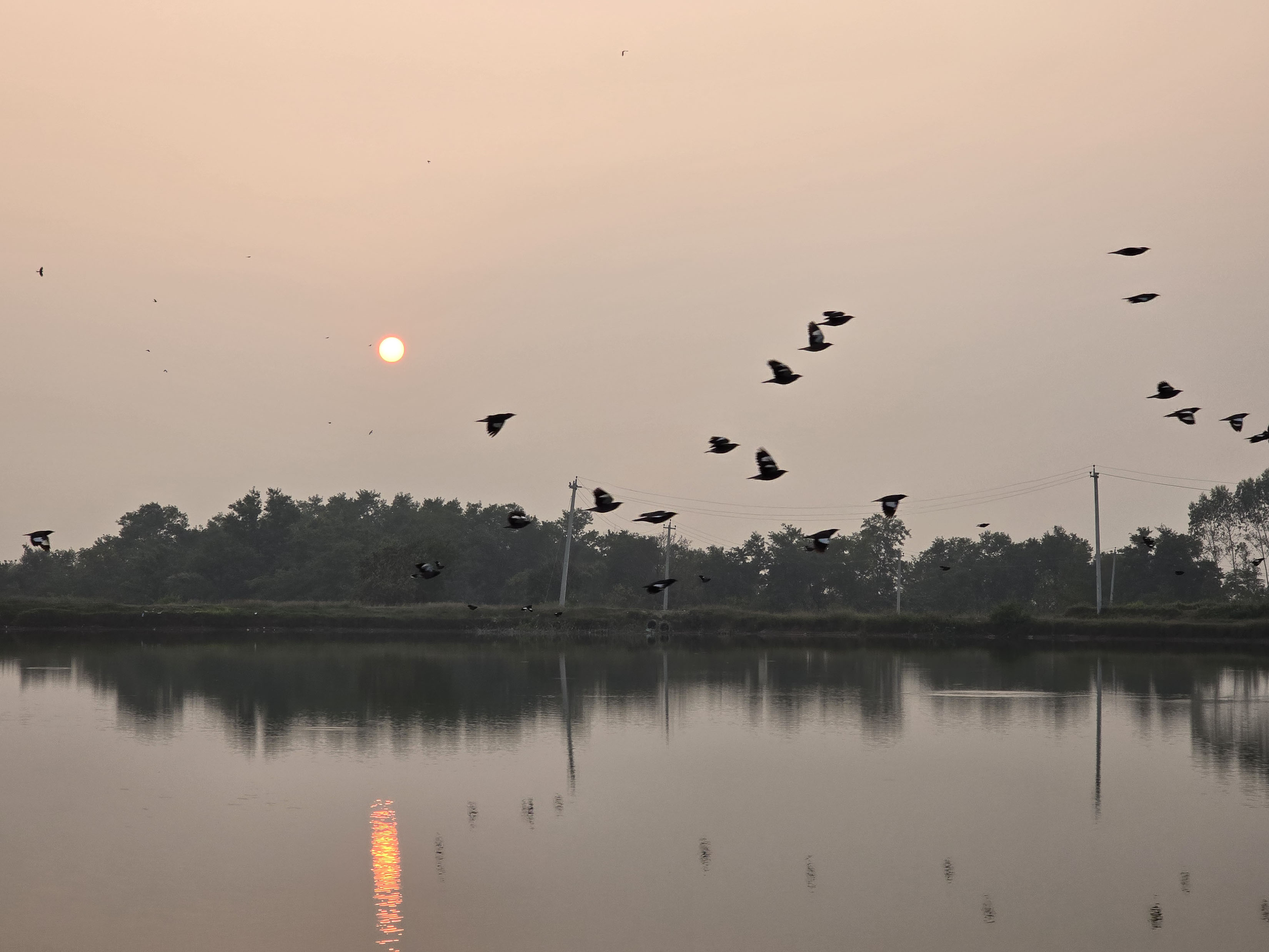 जलाशय र सूर्यास्त