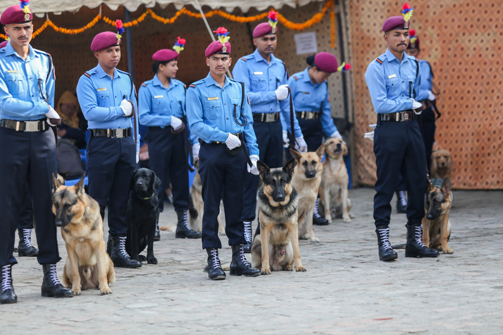 SunilPradhan_Police_Dog_12khariphotos-(1)-1699771910.jpg