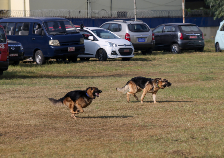 SunilPradhan_Police_Dog_12khariphotos-(10)-1699771913.jpg