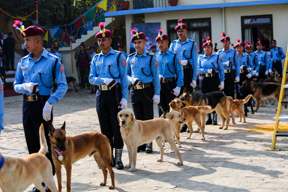 SunilPradhan_Police_Dog_12khariphotos-(13)-1699771914.jpg