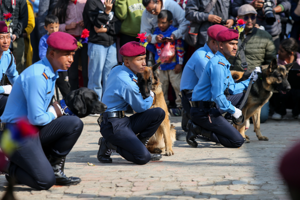 SunilPradhan_Police_Dog_12khariphotos-(14)-1699771914.jpg