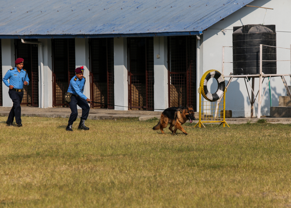 SunilPradhan_Police_Dog_12khariphotos-(3)-1699771911.jpg