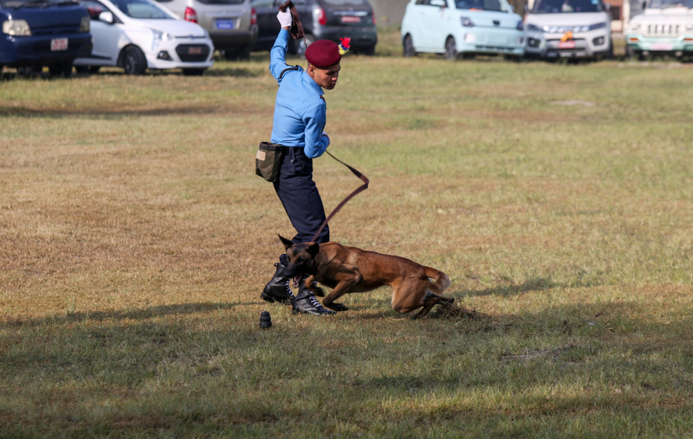 SunilPradhan_Police_Dog_12khariphotos-(5)-1699771911.jpg