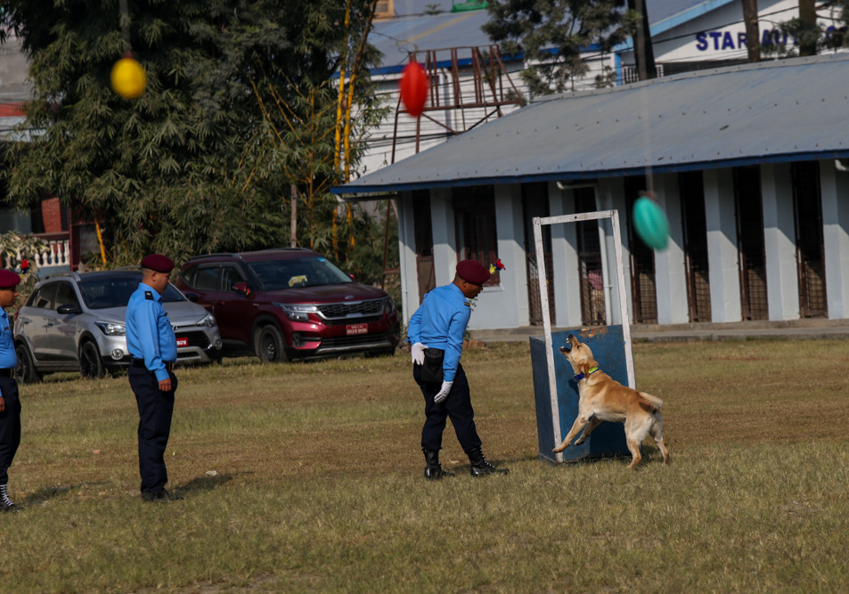 SunilPradhan_Police_Dog_12khariphotos-(6)-1699771912.jpg