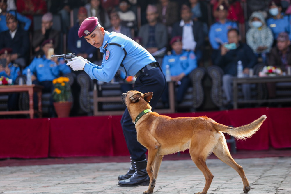 प्रहरीको कुकुर तालिम केन्द्रमा यसरी मनाइयो कुकुरतिहार (तस्बिरहरू)