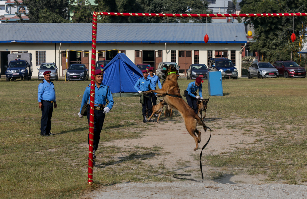 SunilPradhan_Police_Dog_12khariphotos-(8)-1699771912.jpg