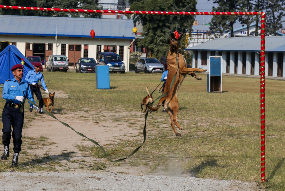 SunilPradhan_Police_Dog_12khariphotos-(9)-1699771913.jpg