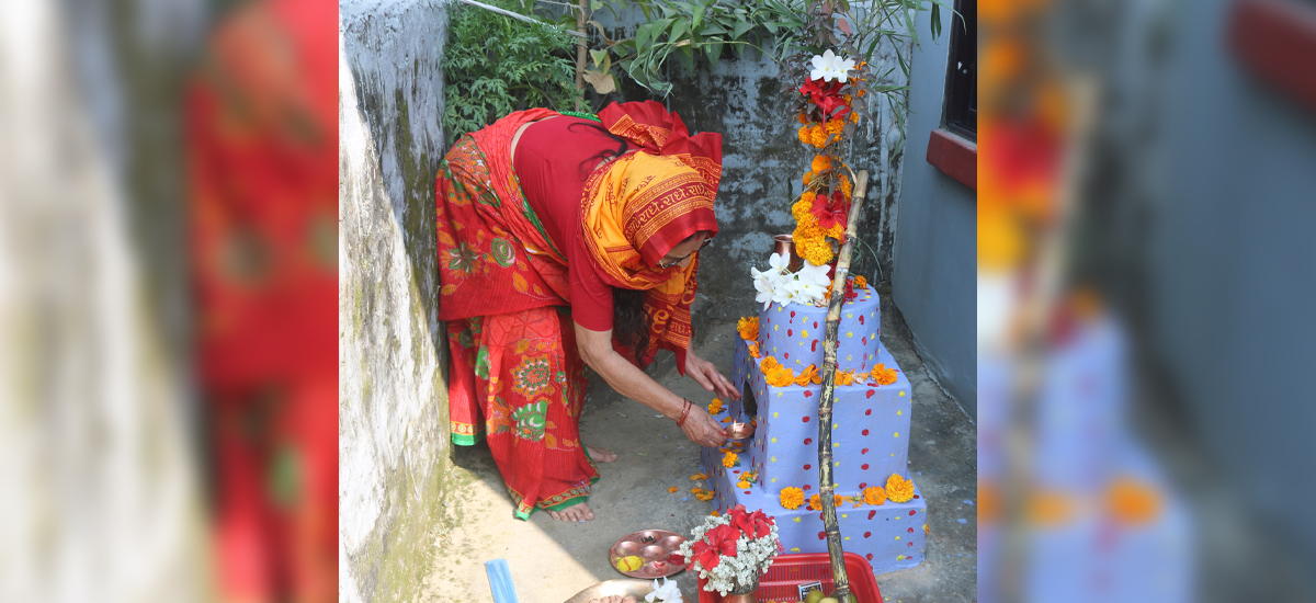 तुलसी र दामोदरको विवाह गरी मनाइयो हरिबोधिनी एकादशी पर्व