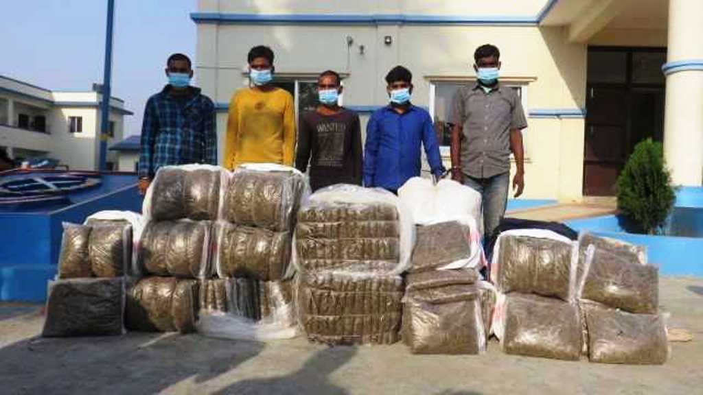 रंगेलीमा २३४ केजी गाँजासहित पाँचजना पक्राउ