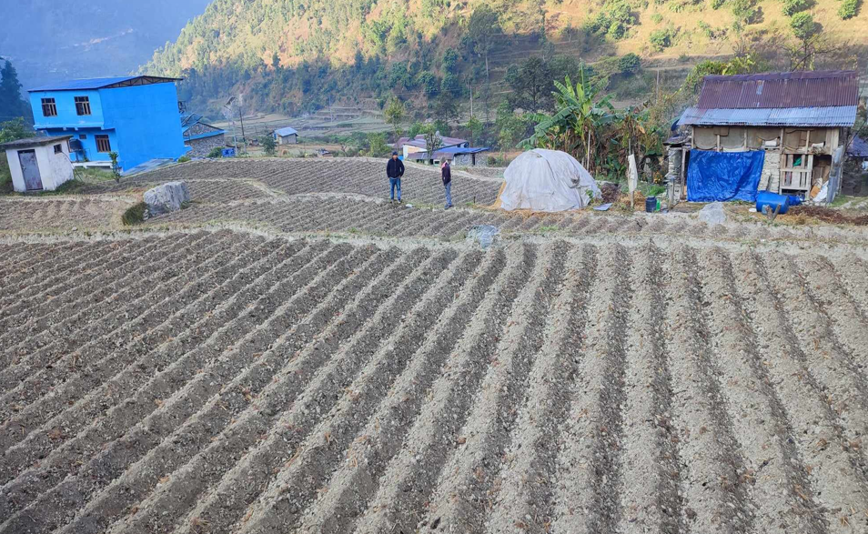 कृषि जनशक्ति उत्पादनमा सघाउँदै पालिका