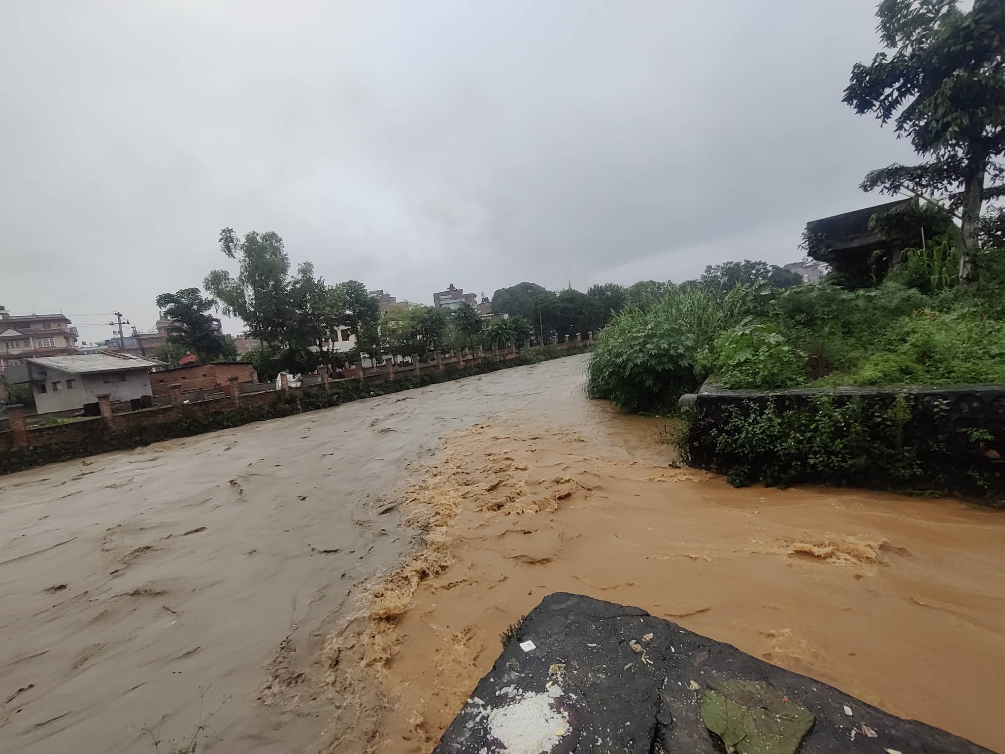 सुनसरी र झापामा भारी वर्षा, सतर्क रहन आग्रह