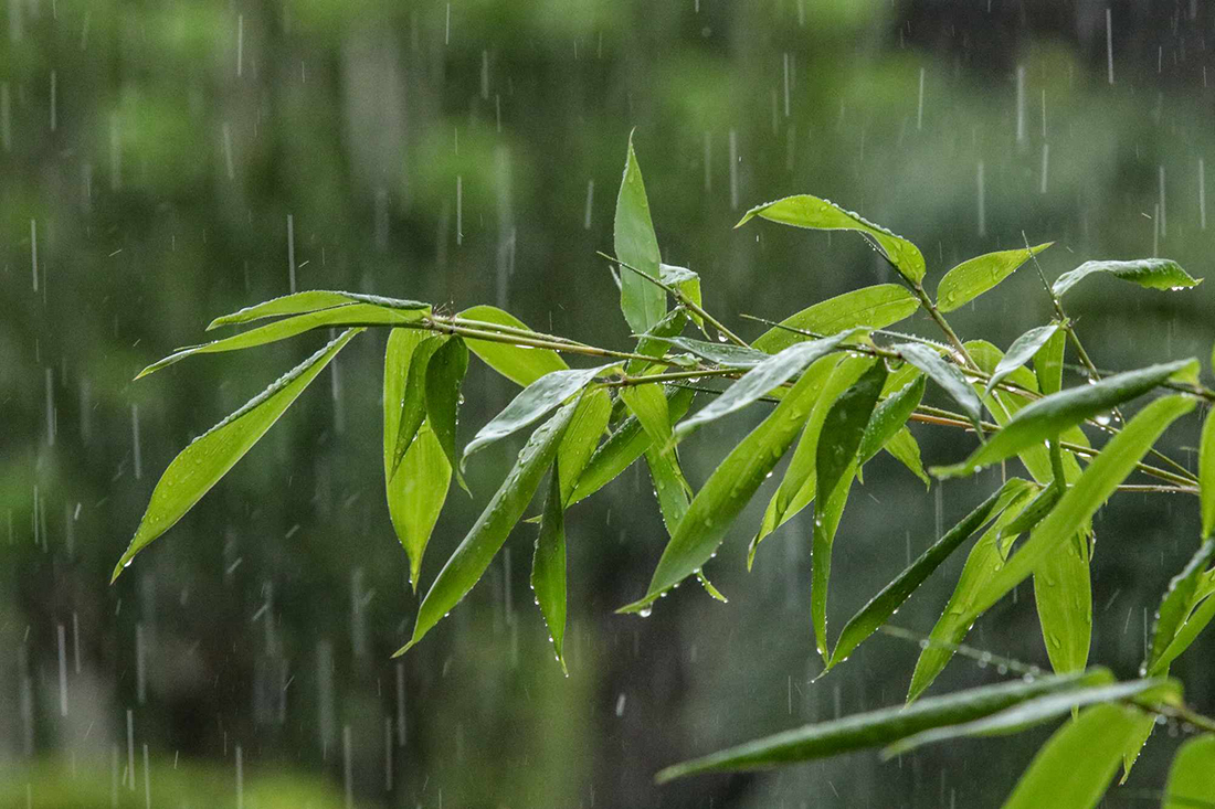 उदयपुर, सप्तरी र सिरहामा मध्यमदेखि भारी वर्षा