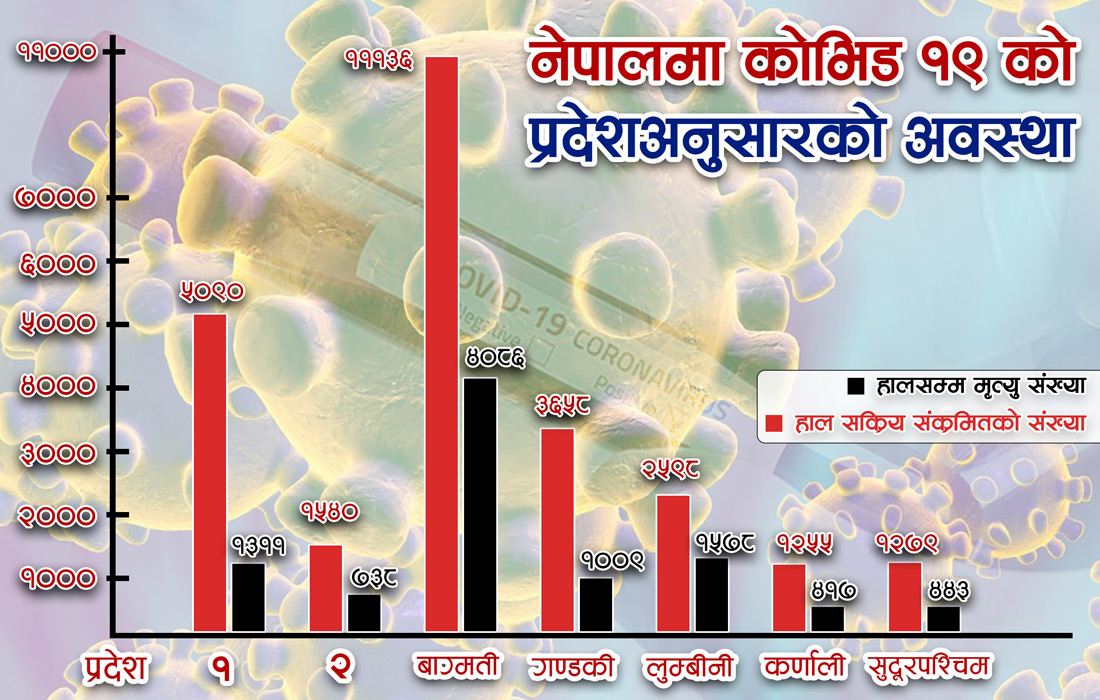 कोभिडबाट कहाँ कति मृत्यु भइरहेको छ ?