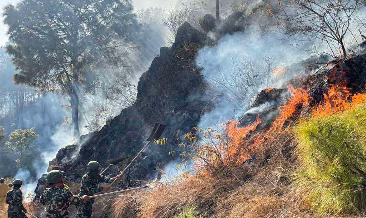 पाल्पा डढेलो : चार सामुदायिक वनमा क्षति