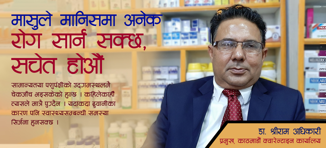 मासुले मानिसमा अनेक रोग सार्न सक्छ, सचेत होऔं
