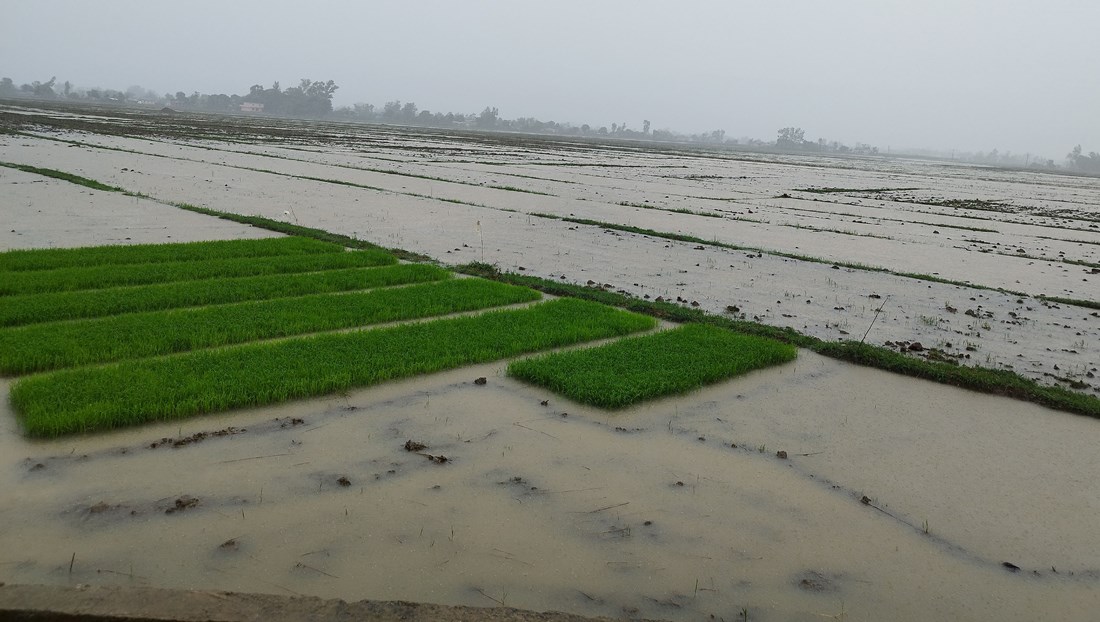 सर्लाही र उदयपुरमा भारी वर्षा