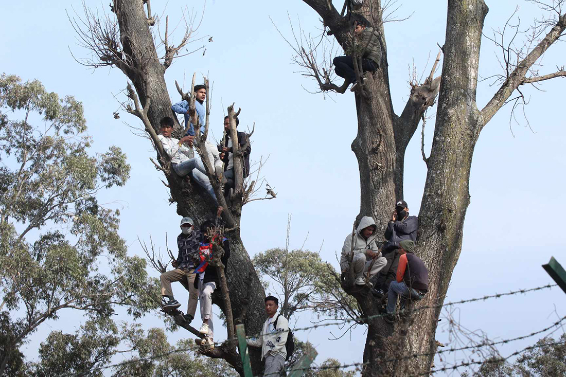 क्रिकेट हेर्न रुखको सहारा (तस्बिरहरू)