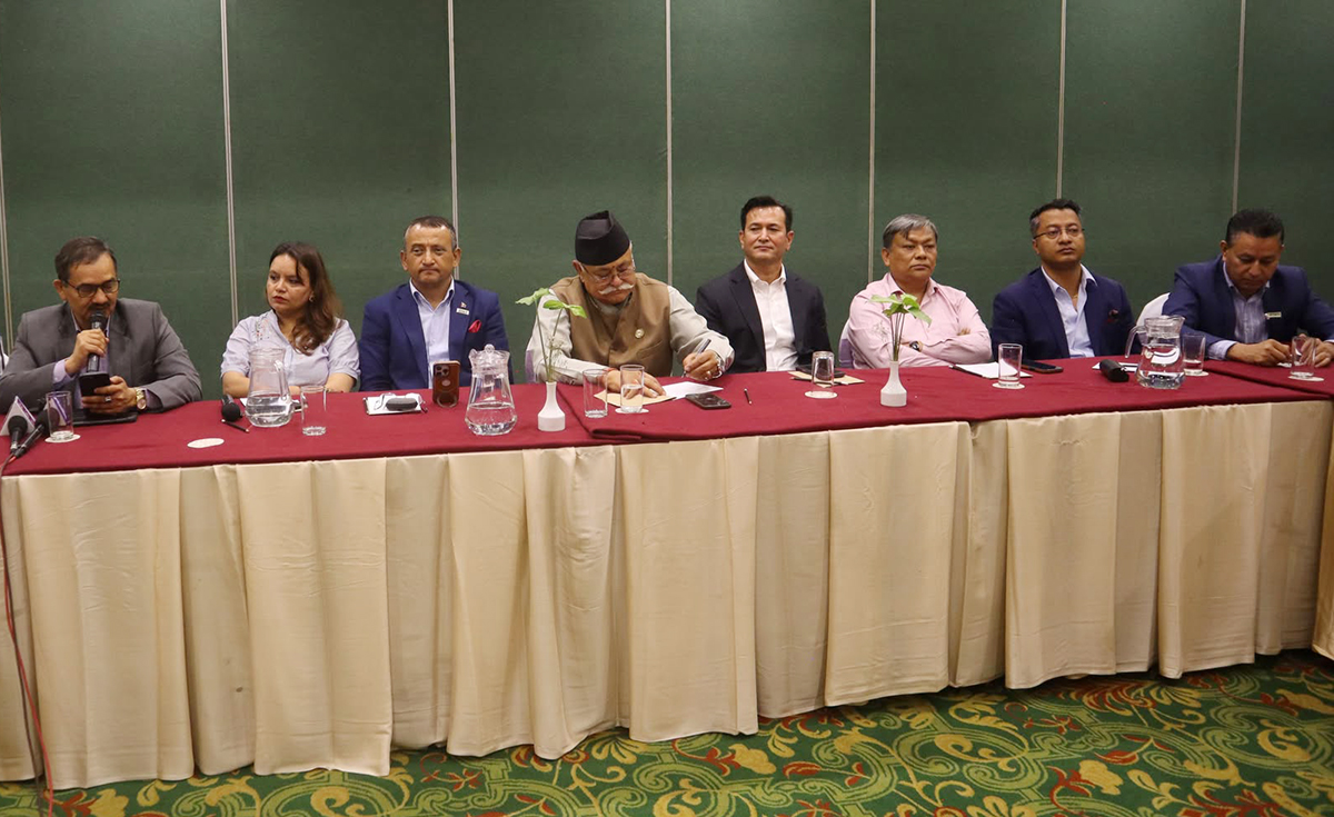 ‘टेक एन्ड पे’ पीपीए : स्वदेशी लगानीमा घात, विदेशीको पक्षपोषण
